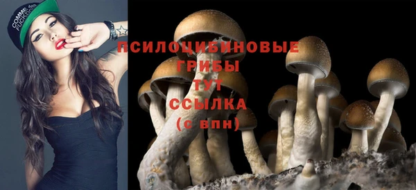 кокаин перу Верхний Тагил