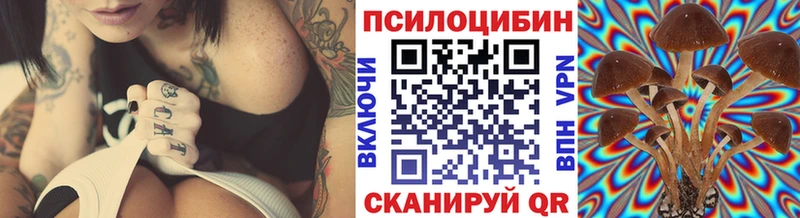 наркота  Назарово  Псилоцибиновые грибы ЛСД 